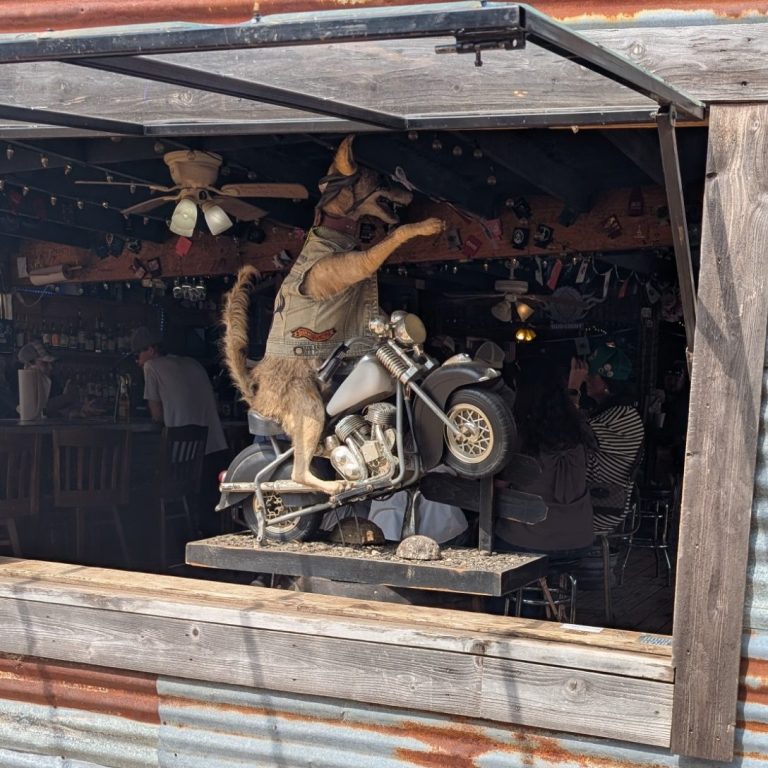 Loco Coyote Bar in Glen Rose Texas Coyote on a motorcycle