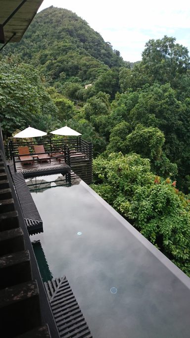 Infinity Pool at eco resort Hotel Rabot An infinity pool near the Piton Mountains